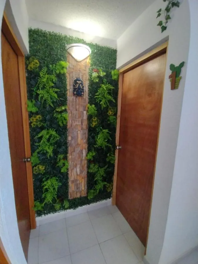 הוסטל קנקון Mexico Arte אכסניה