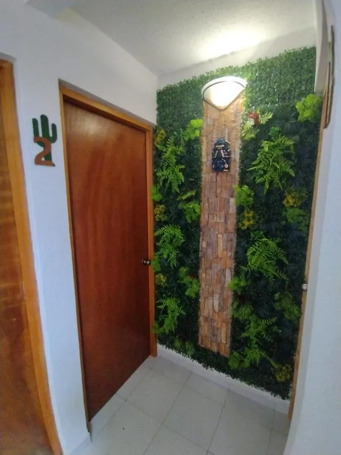 הוסטל קנקון Mexico Arte